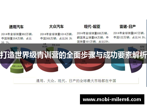 打造世界级青训营的全面步骤与成功要素解析