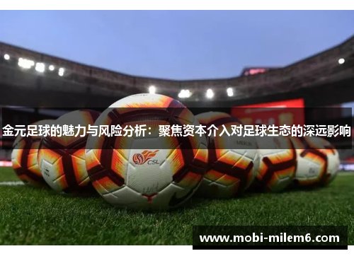 金元足球的魅力与风险分析：聚焦资本介入对足球生态的深远影响