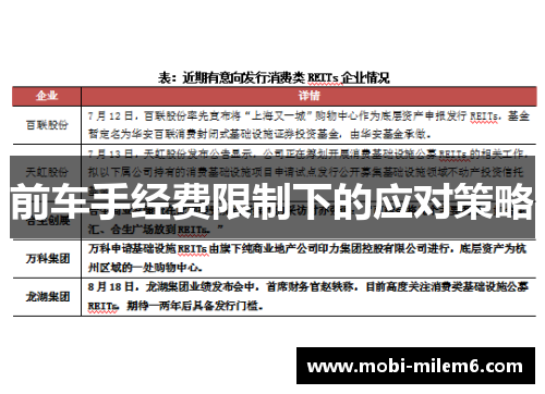 前车手经费限制下的应对策略