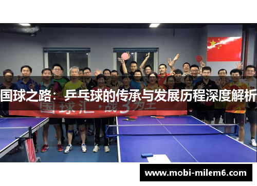 国球之路：乒乓球的传承与发展历程深度解析