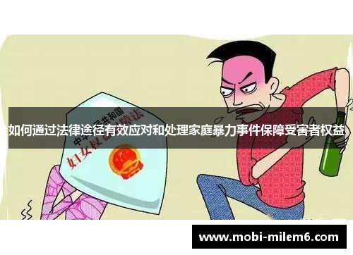 如何通过法律途径有效应对和处理家庭暴力事件保障受害者权益