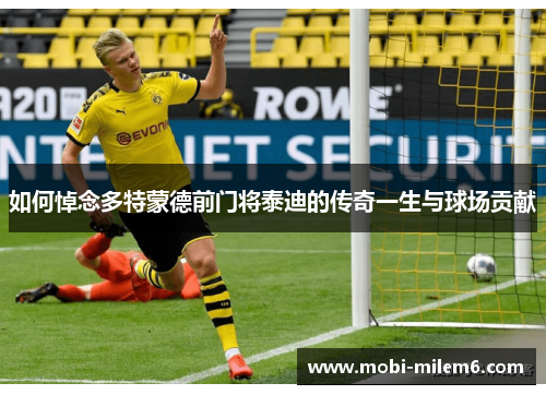 如何悼念多特蒙德前门将泰迪的传奇一生与球场贡献