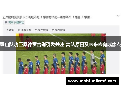泰山队功臣桑德罗告别引发关注 离队原因及未来去向成焦点