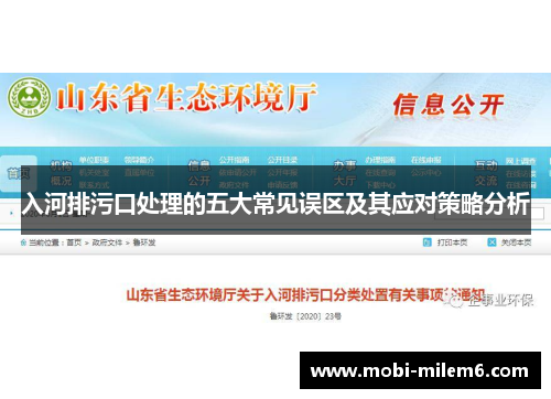 入河排污口处理的五大常见误区及其应对策略分析