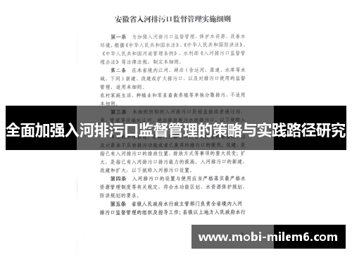 全面加强入河排污口监督管理的策略与实践路径研究
