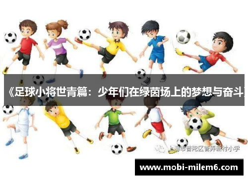 《足球小将世青篇：少年们在绿茵场上的梦想与奋斗》