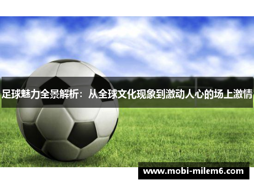 足球魅力全景解析：从全球文化现象到激动人心的场上激情