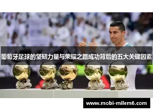 葡萄牙足球的坚韧力量与荣耀之路成功背后的五大关键因素