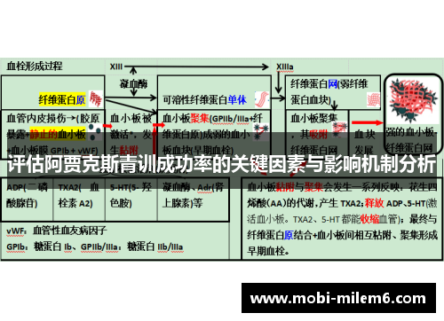 评估阿贾克斯青训成功率的关键因素与影响机制分析 评估阿贾克斯青训成功率的关键因素与影响机制分析