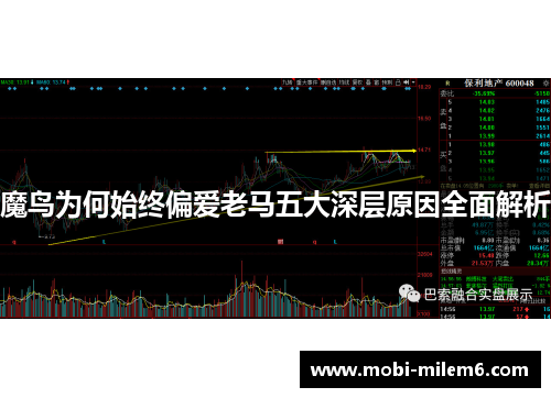 魔鸟为何始终偏爱老马五大深层原因全面解析