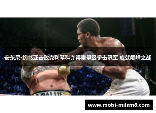 安东尼·约书亚击败克利琴科夺得重量级拳击冠军 成就巅峰之战